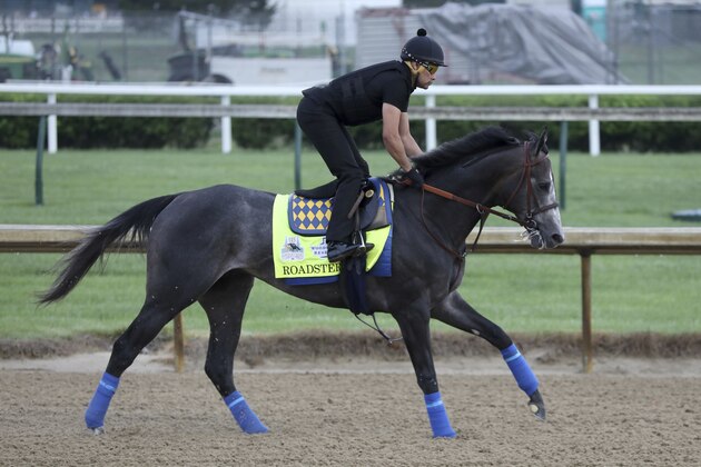 Roadster is seen during morning training at Churchill Downs Thursday, May 2, 2019, in Louisville, Ky. The 145th running of the Kentucky Derby is scheduled for Saturday, May 4. (AP Photo/Gregory Payan)