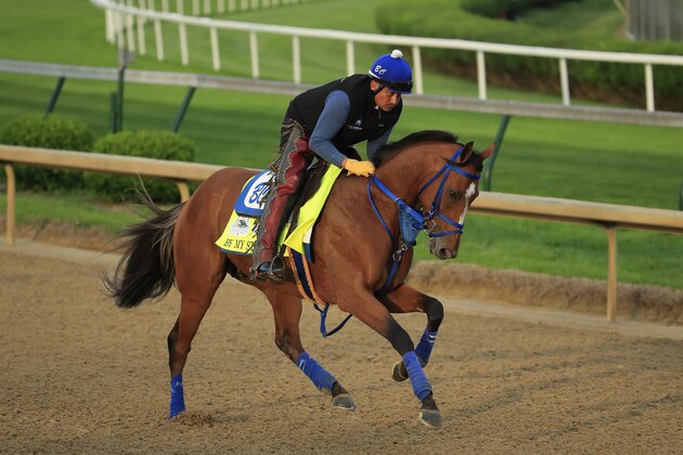 LOUISVILLE, KENTUCKY - MAY 01:  By My Standards runs on the track during morning training for the Kentucky Derby at Churchill Downs on May 1, 2019 in Louisville, Kentucky. (Photo by Andy Lyons/Getty Images)