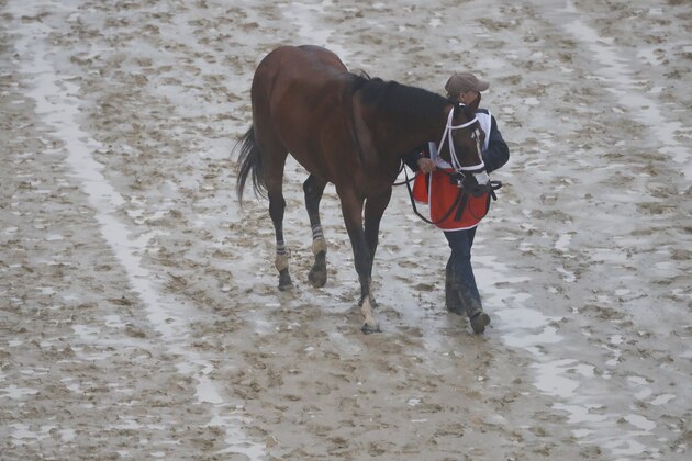 LOUISVILLE, KENTUCKY - MAY 04:  Maximum Security #7 is lead away after the 145th running of the Kentucky Derby at Churchill Downs on May 04, 2019 in Louisville, Kentucky. Country House #20 was declared the winner after a stewards review disqualified Maximum Security #7. (Photo by Jamie Squire/Getty Images)