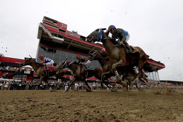 BALTIMORE, MD - MAY 20: The field crosses the finish line during the 142nd Preakness Stakes at Pimlico Race Course on May 20, 2017 in Baltimore, Maryland.  (Photo by Rob Carr/Getty Images)