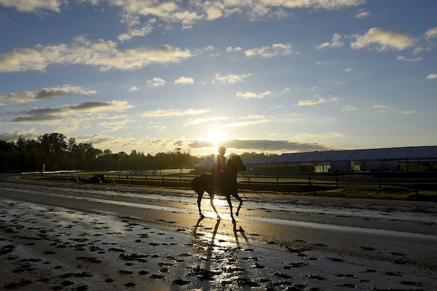 A horse warms up, Tuesday, May 14, 2019, at Pimlico Race Course in Baltimore. The Preakness Stakes horse race is scheduled to take place Saturday, May 18. (AP Photo/Will Newton)