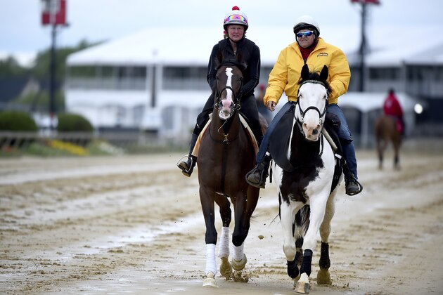 Preakness contender War of Will, left, with exercise rider Kim Carroll aboard, is led onto the track, Tuesday, May 14, 2019, at Pimlico Race Course in Baltimore. The Preakness Stakes horse race is scheduled to take place Saturday, May 18. (AP Photo/Will Newton)