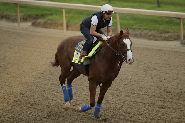 Kentucky Derby entrant Improbable is ridden during a workout at Churchill Downs Wednesday, May 1, 2019, in Louisville, Ky. The 145th running of the Kentucky Derby is scheduled for Saturday, May 4. (AP Photo/Charlie Riedel)