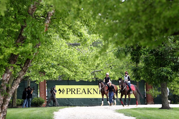 BALTIMORE, MARYLAND - MAY 16: War of Will walks back to the barn after a training session for the upcoming Preakness Stakes at Pimlico Race Course on May 16, 2019 in Baltimore, Maryland. (Photo by Rob Carr/Getty Images)
