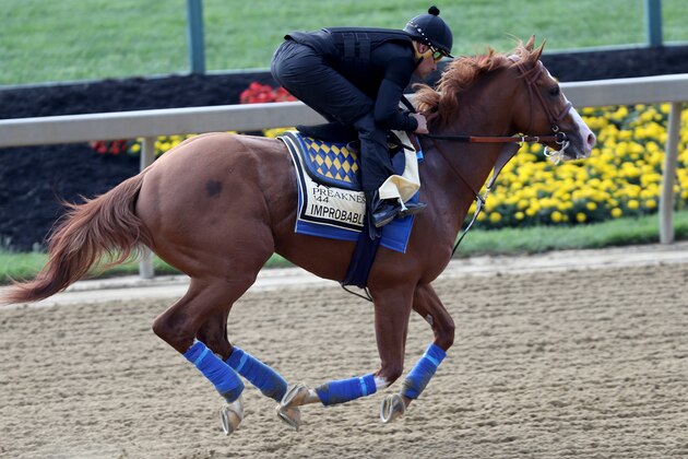BALTIMORE, MARYLAND - MAY 16: Improbable trains on the track during a training session for the upcoming Preakness Stakes at Pimlico Race Course on May 16, 2019 in Baltimore, Maryland. (Photo by Rob Carr/Getty Images)