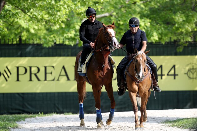 BALTIMORE, MARYLAND - MAY 16: Improbable is led back to the barn after training on the track during a training session for the upcoming Preakness Stakes at Pimlico Race Course on May 16, 2019 in Baltimore, Maryland. (Photo by Rob Carr/Getty Images)