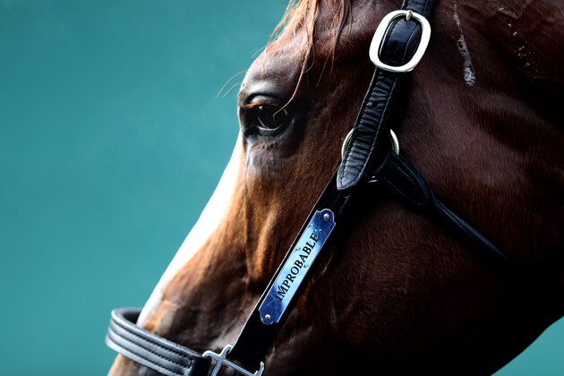 BALTIMORE, MARYLAND - MAY 16: Improbable gets a bath following a training session on the track during a training session for the upcoming Preakness Stakes at Pimlico Race Course on May 16, 2019 in Baltimore, Maryland. (Photo by Rob Carr/Getty Images)