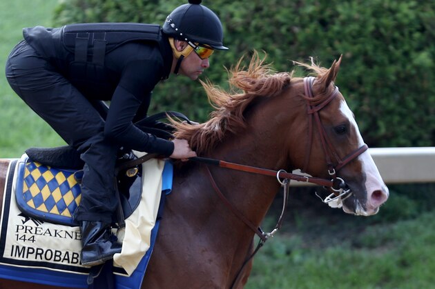 BALTIMORE, MARYLAND - MAY 16: Improbable trains on the track during a training session for the upcoming Preakness Stakes at Pimlico Race Course on May 16, 2019 in Baltimore, Maryland. (Photo by Rob Carr/Getty Images)