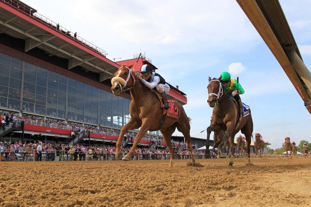 BALTIMORE, MARYLAND- MAY 17: Point of Honor with Javier Castellano riding wins the Black-Eyed Susan at Preakness Race Course on May 17 in Baltimore, Maryland (Photo by Horsephotos/Getty Images)