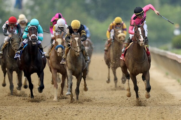 BALTIMORE, MARYLAND - MAY 18: Jockey Tyler Gaffalione celebrates after crossing the finish line on War of Will #8 to win the 144th Running of the Preakness Stakes at Pimlico Race Course on May 18, 2019 in Baltimore, Maryland. (Photo by Rob Carr/Getty Images)