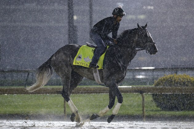 LOUISVILLE, KENTUCKY - MAY 03: Tacitus trains on the track during morning workouts in preparation for the 145th running of the Kentucky Derby at Churchill Downs on May 3, 2019 in Louisville, Kentucky. (Photo by Michael Reaves/Getty Images)