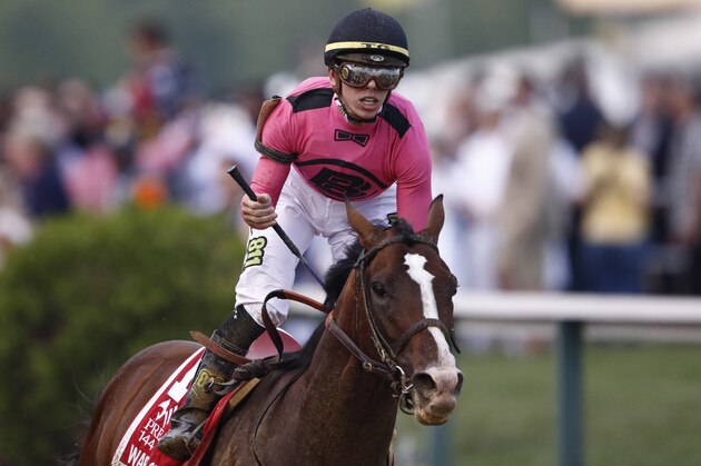 War of Will, ridden by Tyler Gaffalione reacts after crossing the finish line to win the Preakness Stakes horse race at Pimlico Race Course, Saturday, May 18, 2019, in Baltimore. (AP Photo/Patrick Semansky)