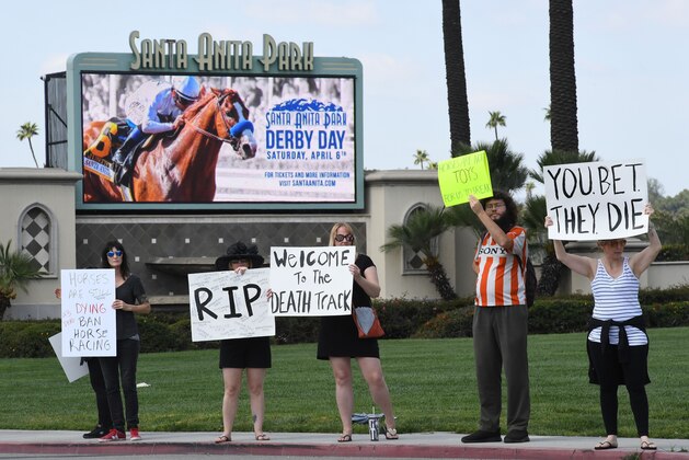 Animal-rights advocates protest the deaths of 23 racehorses in the first three months of this year at the Santa Anita Racetrack in Arcadia,, California, on April 6, 2019. - Santa Anita Park averaged more than 55 horse deaths per year from 2008-18, according to data from the California Horse Racing Board, a total of 553 deaths in all, but this year's major rise in deaths is under investigation. (Photo by Mark RALSTON / AFP)        (Photo credit should read MARK RALSTON/AFP/Getty Images)