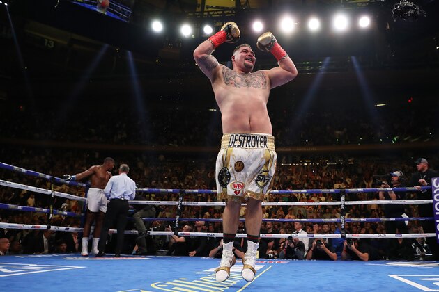 NEW YORK, NEW YORK - JUNE 01:  Andy Ruiz Jr celebrates his seventh round tko against  Anthony Joshua after their IBF/WBA/WBO heavyweight title fight at Madison Square Garden on June 01, 2019 in New York City. (Photo by Al Bello/Getty Images)