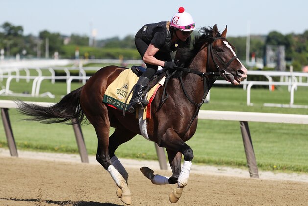 ELMONT, NEW YORK - JUNE 04:  Belmont Stakes contender and Preakness winner War of Will trains with Exercise rider Kim Carroll up during a morning workout prior to the 151st running of the Belmont Stakes at Belmont Park on June 04, 2019 in Elmont, New York. (Photo by Al Bello/Getty Images)