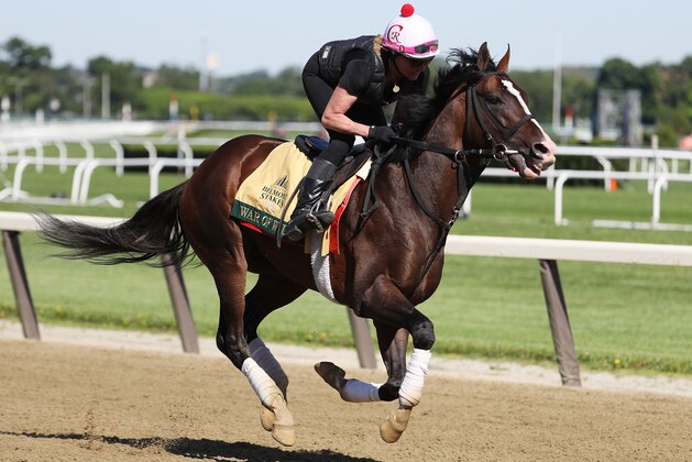 ELMONT, NEW YORK - JUNE 04:  Belmont Stakes contender and Preakness winner War of Will trains with Exercise rider Kim Carroll up during a morning workout prior to the 151st running of the Belmont Stakes at Belmont Park on June 04, 2019 in Elmont, New York. (Photo by Al Bello/Getty Images)