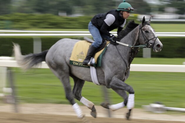 Exercise rider Joe Ramos rides Tacitus during workouts at Belmont Park in Elmont, N.Y., Wednesday, June 5, 2019. The 151st Belmont Stakes horse race is scheduled for Saturday, June 8. (AP Photo/Seth Wenig)