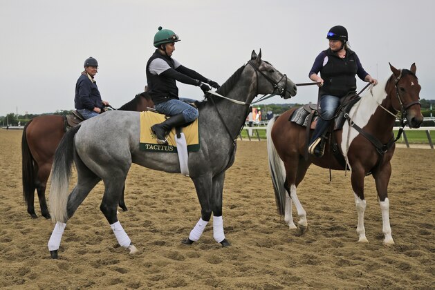 Exercise rider Joe Ramos, center, rides Tacitus during workouts at Belmont Park in Elmont, N.Y., Wednesday, June 5, 2019. The 151st Belmont Stakes horse race is scheduled for Saturday, June 8. (AP Photo/Seth Wenig)
