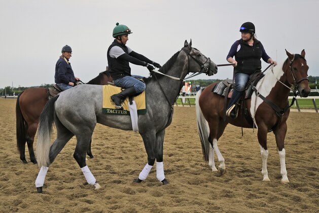 Exercise rider Joe Ramos, center, rides Tacitus during workouts at Belmont Park in Elmont, N.Y., Wednesday, June 5, 2019. The 151st Belmont Stakes horse race is scheduled for Saturday, June 8. (AP Photo/Seth Wenig)