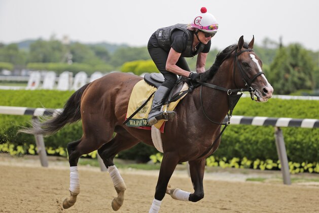 Exercise rider Kim Carroll rides War of Will during a workout at Belmont Park in Elmont, N.Y., Wednesday, June 5, 2019. The 151st Belmont Stakes horse race will be run on Saturday, June 8, 2019. (AP Photo/Seth Wenig)