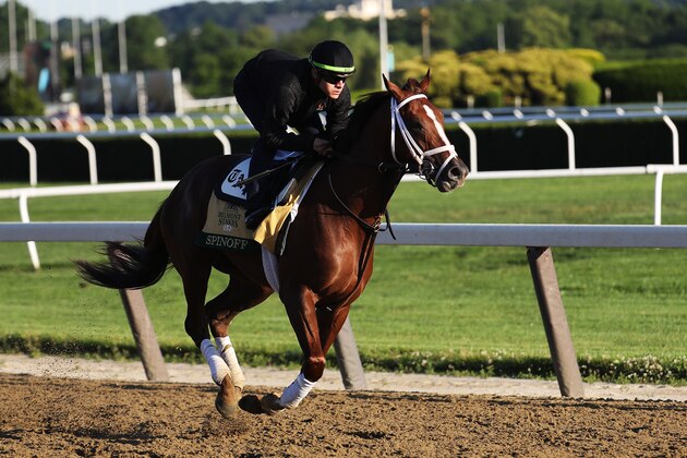 ELMONT, NEW YORK - JUNE 04:  Belmont Stakes contender Spinoff trains during a morning workout prior to the 151st running of the Belmont Stakes at Belmont Park on June 04, 2019 in Elmont, New York. (Photo by Al Bello/Getty Images)
