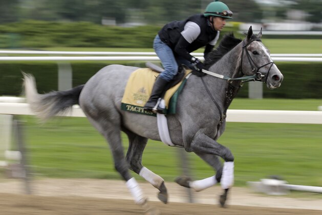 Exercise rider Joe Ramos rides Tacitus during workouts at Belmont Park in Elmont, N.Y., Wednesday, June 5, 2019. The 151st Belmont Stakes horse race is scheduled for Saturday, June 8. (AP Photo/Seth Wenig)