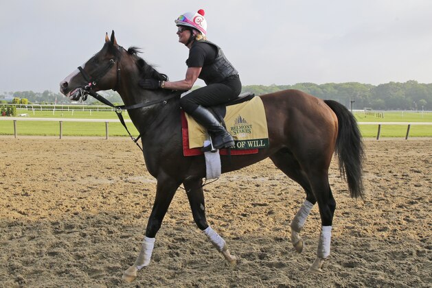 Exercise rider Kim Carroll rides War of Will during a workout at Belmont Park in Elmont, N.Y., Thursday, June 6, 2019. The 151st Belmont Stakes horse race will be run on Saturday, June 8, 2019. (AP Photo/Seth Wenig)