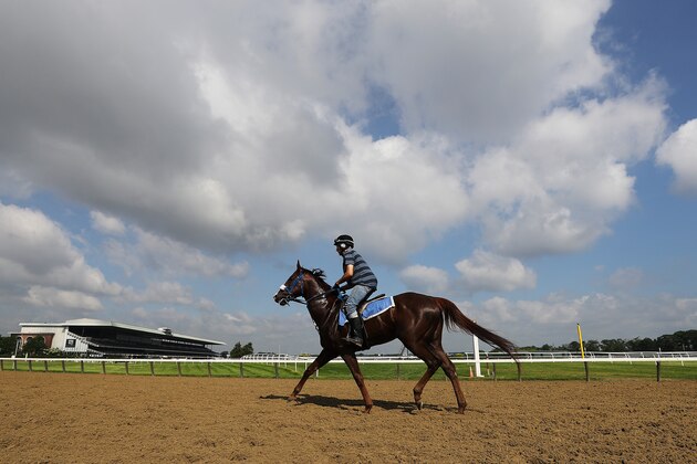 ELMONT, NEW YORK - JUNE 06:  A general view of a horse and Exercise Rider training prior to the 151st running of the Belmont Stakes at Belmont Park at Belmont Park on June 06, 2019 in Elmont, New York. (Photo by Al Bello/Getty Images)