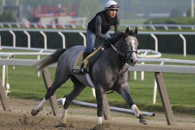 Exercise rider Joe Ramos rides Tacitus during a workout at Belmont Park in Elmont, N.Y., Thursday, June 6, 2019. The 151st Belmont Stakes horse race will be run on Saturday, June 8, 2019. (AP Photo/Seth Wenig)