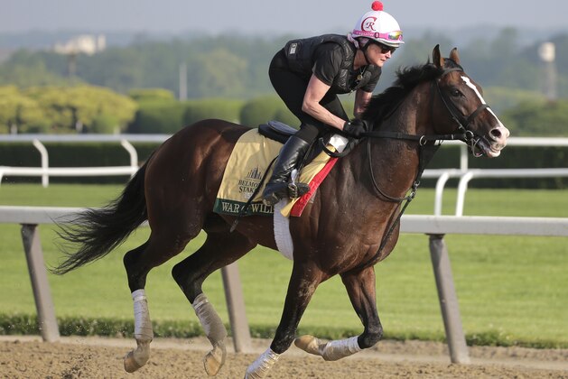 Exercise rider Kim Carroll rides War of Will during a workout at Belmont Park in Elmont, N.Y., Thursday, June 6, 2019. The 151st Belmont Stakes horse race will be run on Saturday, June 8, 2019. (AP Photo/Seth Wenig)