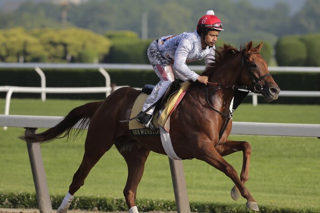 Exercise rider Brian Calo rides Sir Winston during a workout at Belmont Park in Elmont, N.Y., Thursday, June 6, 2019. The 151st Belmont Stakes horse race will be run on Saturday, June 8, 2019. (AP Photo/Seth Wenig)
