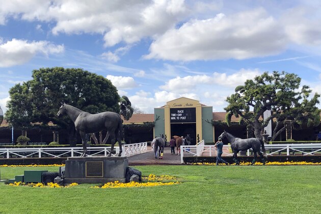 Horses are led to paddocks past the Seabiscuit statue during workouts at Santa Anita Park, as members of the California Horse Racing Board weigh new safety and medication rules in the wake of 22 horse deaths during a meeting at the track in Arcadia, Calif., Thursday, March 28, 2019. The board is considering whether to ban the use of medication and whips on racing days. If approved, Santa Anita would become the first racetrack in the nation to impose such restrictions. (AP Photo/Amanda Lee Myers)