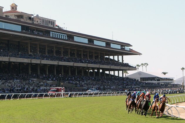 DEL MAR, CA NOVEMBER 4: Wuheida with William Buick up wins the Breeders Cup Filly & Mare Turf  at Del Mar Race Track on November 4, 2017 in Del Mar, California (Photo by Horsephotos/Getty Images)