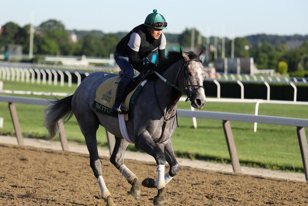 ELMONT, NEW YORK - JUNE 04:  Belmont Stakes contender Tacitus trains prior to the 151st running of the Belmont Stakes at Belmont Park on June 04, 2019 in Elmont, New York. (Photo by Al Bello/Getty Images)