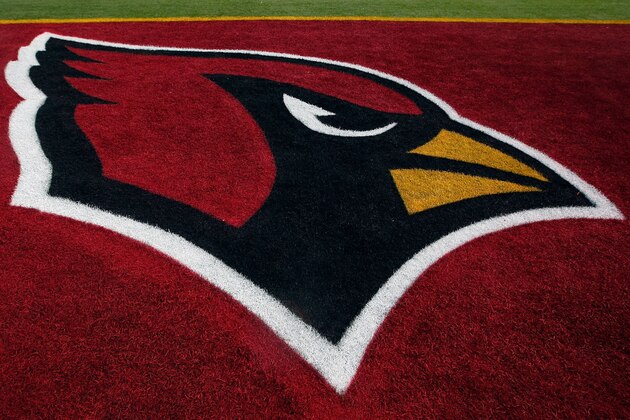TAMPA, FL - FEBRUARY 01:  The Arizona Cardinals logo is seen in the end zone before Super Bowl XLIII on February 1, 2009 at Raymond James Stadium in Tampa, Florida.  (Photo by Jamie Squire/Getty Images)