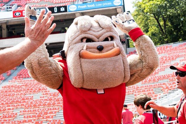 ATHENS, GA - SEPTEMBER 07: Georgia Bulldogs mascot Hairy Dawg is seen prior to the start of the game against the Murray State Racers at Sanford Stadium on September 7, 2019 in Athens, Georgia. (Photo by Carmen Mandato/Getty Images)