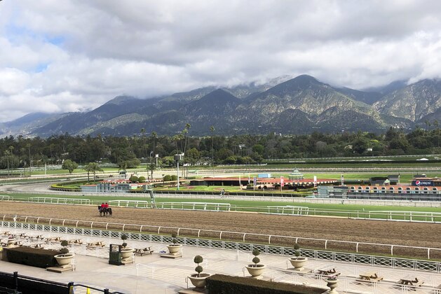 A few horses and riders are seen on the track while members of the California Horse Racing Board weigh new safety and medication rules in the wake of 22 horse deaths at Santa Anita Park, during a meeting at the track in Arcadia, Calif., Thursday, March 28, 2019. The board is considering whether to ban the use of medication and whips on racing days. If approved, Santa Anita would become the first racetrack in the nation to impose such restrictions. (AP Photo/Amanda Lee Myers)