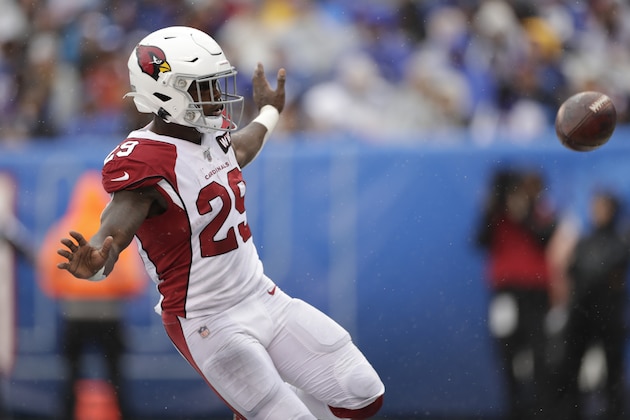 Arizona Cardinals' Chase Edmonds reacts after scoring during the first half of an NFL football game against the New York Giants, Sunday, Oct. 20, 2019, in East Rutherford, N.J. (AP Photo/Adam Hunger)