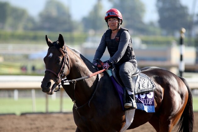 ARCADIA, CALIFORNIA- OCTOBER 27: Dennis Moment on track at Santa Anita Park on October 27, 2019 in Arcadia, California (Photo by Horsephotos/Getty Images)