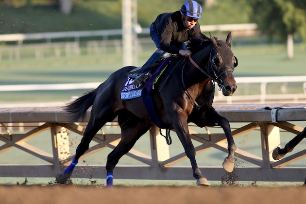ARCADIA, CALIFORNIA- OCTOBER 27: Eight Rings works with Evin Roman up at Santa Anita Park on October 27, 2019 in Arcadia, California (Photo by Horsephotos/Getty Images)