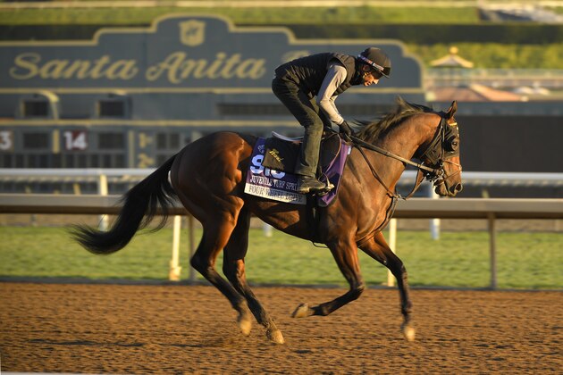 Four Wheel Drive, entered in the Juvenile Turf Sprint horse race, works out on the track at Santa Anita Park for the Breeders' Cup, Thursday, Oct. 31, 2019, in Arcadia, Calif. (AP Photo/Mark J. Terrill)