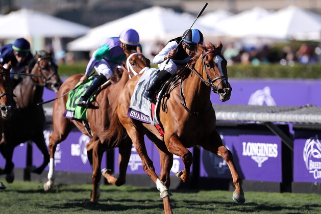 ARCADIA, CALIFORNIA - NOVEMBER 01:  Jockey Manuel Franco aboard Sharing wins the Juvenile Fillies Turf race of the Breeders Cup at Santa Anita Park on November 01, 2019 in Arcadia, California. (Photo by Sean M. Haffey/Getty Images)
