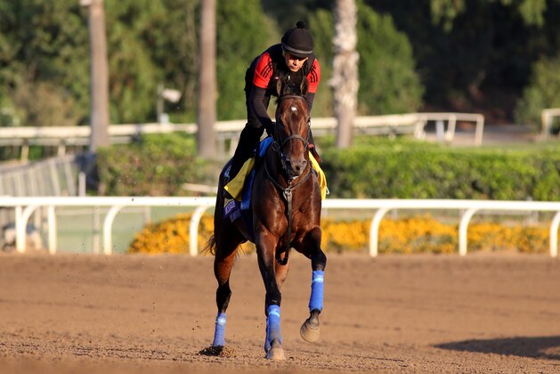 ARCADIA, CALIFORNIA- OCTOBER 27: McKinzie gallops at Santa Anita Park on October 27, 2019 in Arcadia, California (Photo by Horsephotos/Getty Images)