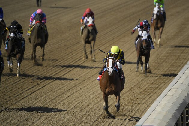 Joel Rosario rides Covfefe to victory in the Breeders' Cup Filly and Mare Sprint horse race at Santa Anita Park, Saturday, Nov. 2, 2019, in Arcadia, Calif. (AP Photo/Mark J. Terrill)