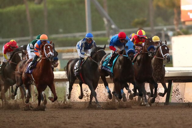 ARCADIA, CALIFORNIA - NOVEMBER 02: The field in action racing during the first lap of the Longines Breeders' Cup Classic at Santa Anita Park on November 02, 2019 in Arcadia, California. (Photo by Joe Scarnici/Getty Images)