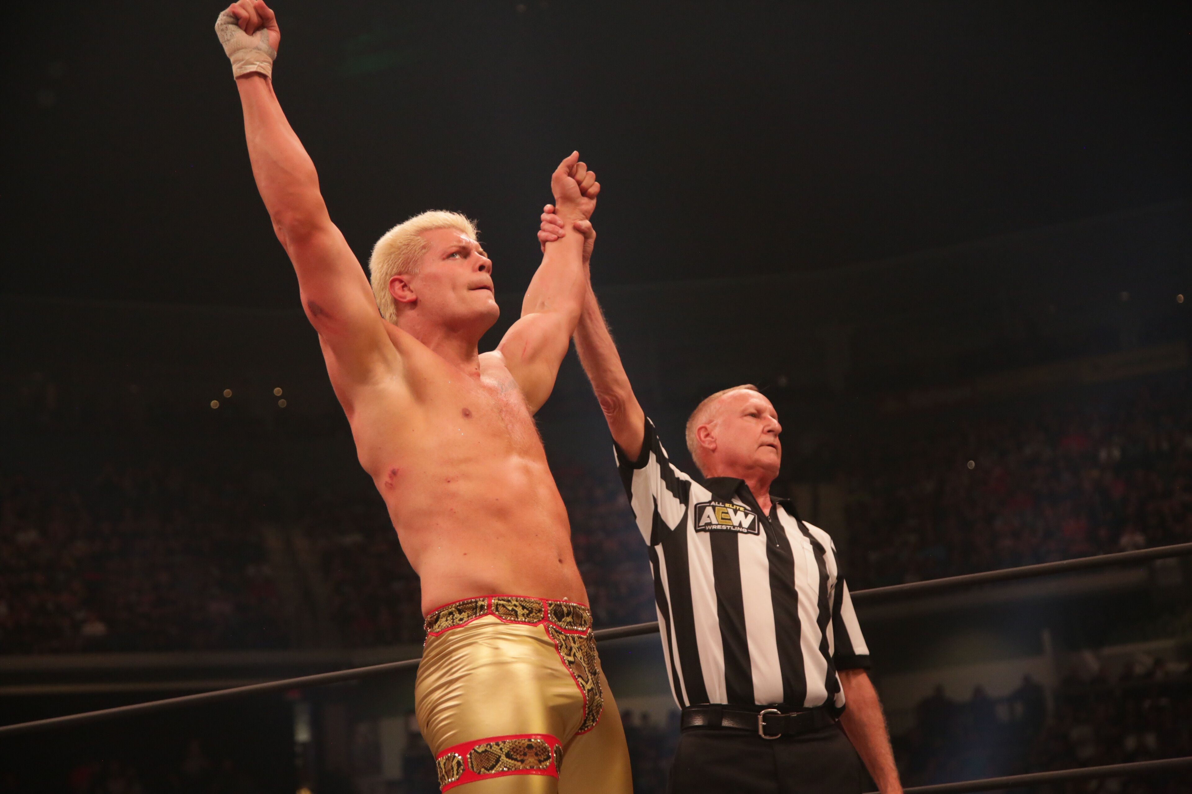 Cody Rhodes Has Become the Breakout Babyface in AEW He Should Have