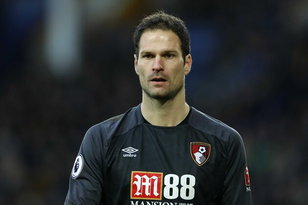 LIVERPOOL, ENGLAND - JANUARY 13: Asmir Begovic of Bournemouth looks during the Premier League match between Everton FC and AFC Bournemouth at Goodison Park on January 13, 2019 in Liverpool, United Kingdom. (Photo by Malcolm Couzens/Getty Images)