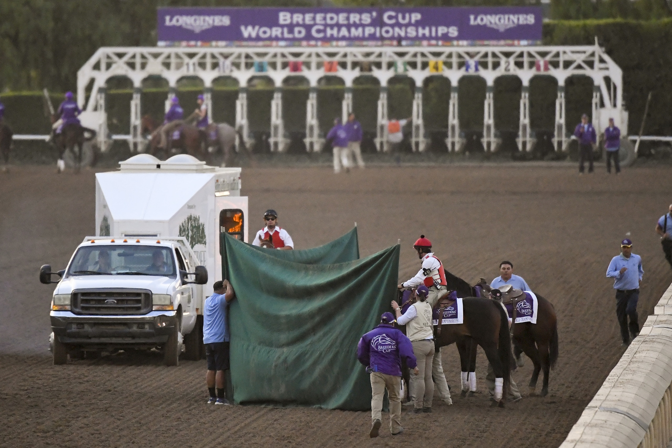 Track workers treat Mongolian Groom after the Breeders' Cup Classic horse race at Santa Anita Park, Saturday, Nov. 2, 2019, in Arcadia, Calif. The jockey eased him up near the eighth pole in the stretch. The on-call vet says he has