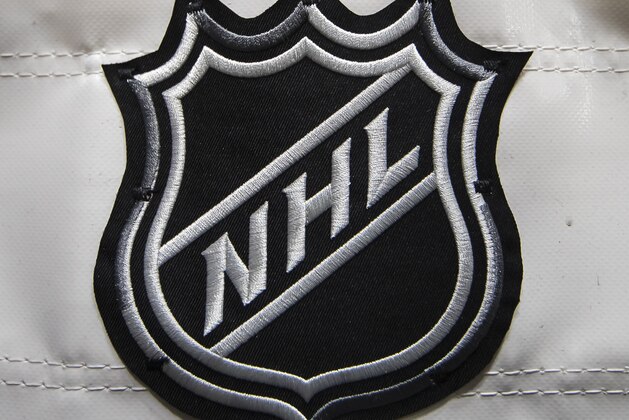 WASHINGTON, DC - OCTOBER 16: A detailed view of the NHL logo on the back of the goal netting before the game between the Washington Capitals and the Toronto Maple Leafs at Capital One Arena on October 16, 2019 in Washington, DC. (Photo by Scott Taetsch/Getty Images)