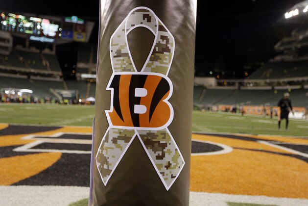 The NFL Salute to Service logo is shows on the goal post before the start of an NFL football game between the Cincinnati Bengals and the Cleveland Browns Thursday, Nov. 6, 2014, in Cincinnati. (AP Photo/Michael Conroy)
